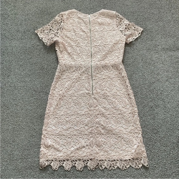 Coast Lace Shift Mini Dress Size 16 Short Sleeve Blush Pink Back Zip - Picture 3 of 12
